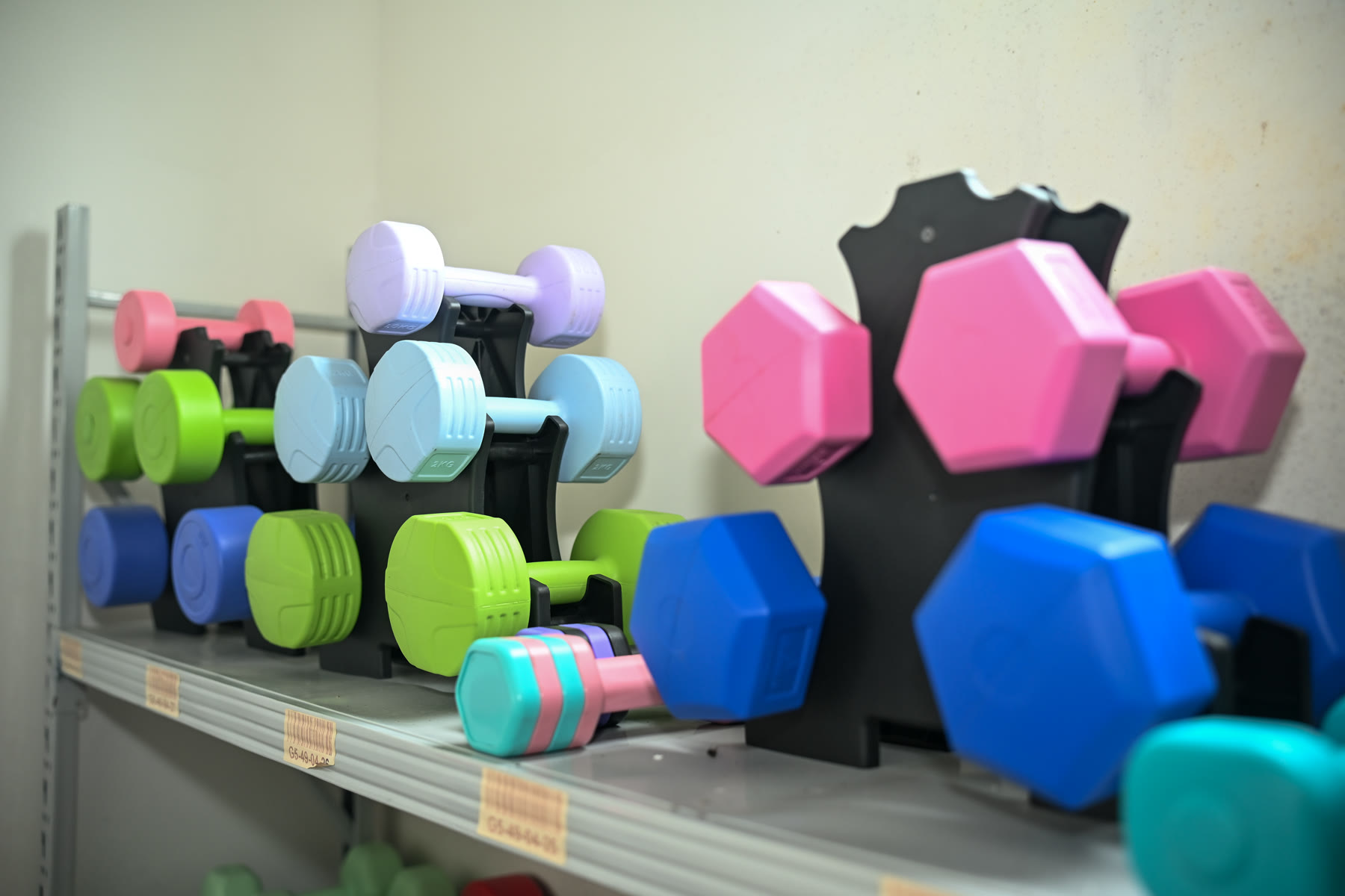 Molded-shell dumbbell pair photographed for the WENKU blow-molded dumbbell program