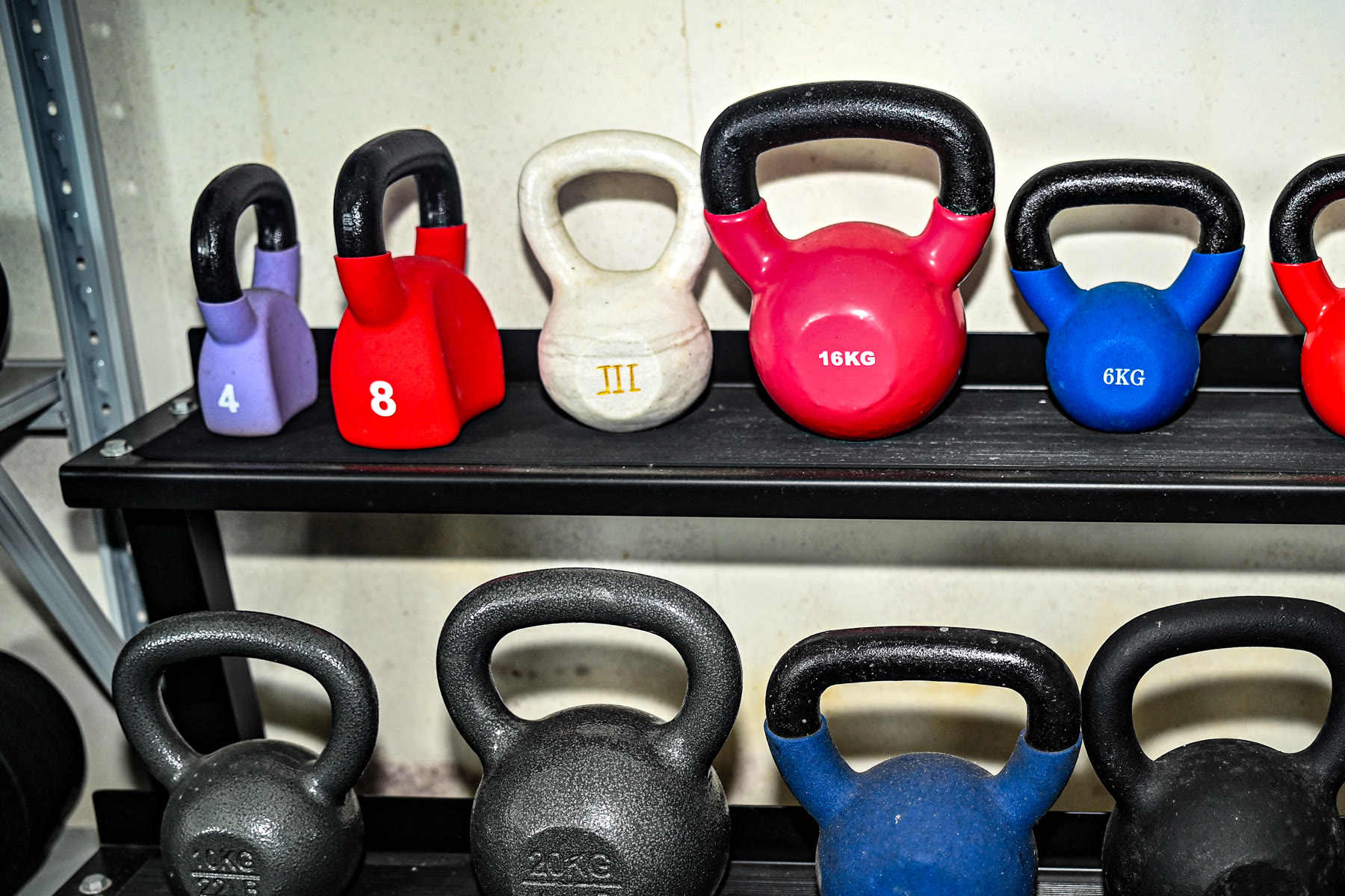 Painted WENKU kettlebell range for B2B product selection