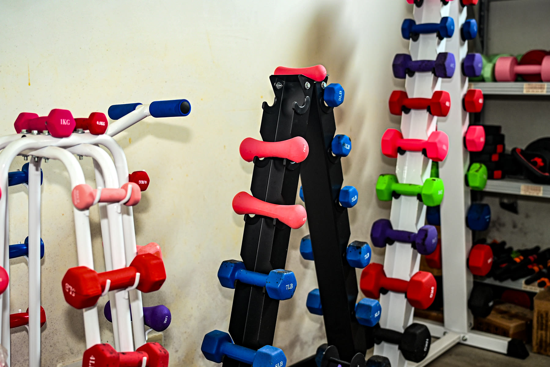 WENKU vinyl-dipped dumbbell range for wholesale and private-label selection